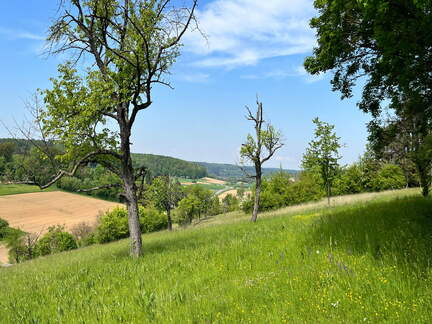 22-05-08 11-43-50 0771